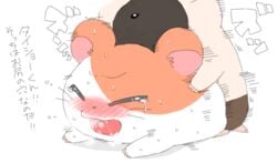 anal anthro blush bodily_fluids boss_(hamtaro) chiakno cricetid cum duo genital_fluids hamster hamtaro hamtaro_(series) japanese_text lying male male/male male_penetrated male_penetrating male_penetrating_male mammal on_front penetration rodent sex text