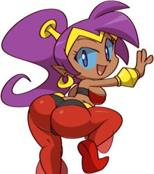 shantae (character) from shantae by vilepluff