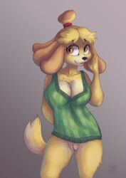 absurd_res animal_crossing anthro big_breasts bottomless breasts canid canine canis cinnamomo clothing domestic_dog female female_only fur furry furry_only genitals hi_res isabelle_(animal_crossing) looking_at_viewer mammal mostly_nude naked nintendo no_bra no_panties no_underwear nude pussy solo solo_female tail topwear video_games yellow_body yellow_fur