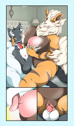 absurd_res anthro anthro_on_anthro arcanine ass balls big_breasts blush breast_grab breast_lick breast_play breasts brown_body brown_fur canid canine canis claws closed_eyes cowgirl_position domestic_cat duo felid feline felis female female_penetrated fluffy fluffy_tail from_front_position fur furry furry_only genitals grey_body grey_fur hand_on_breast hi_res interspecies licking looking_pleasured male male/female male_penetrating male_penetrating_female mammal mature_female mellonsoda multicolored_body multicolored_fur naked nintendo nude on_bottom on_top open_mouth open_smile orange_body orange_fur penetration penis pokemon pokemon_(species) pussy sex smile tail teeth tongue tongue_out two_tone_body two_tone_fur vaginal_penetration video_games white_body white_fur yellow_eyes