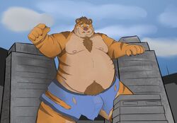 2020 anthro balls barely_visible_balls barely_visible_genitalia belly bulge clothing dippubear felid genitals hi_res humanoid_hands male mammal moobs nipples overweight overweight_male pantherine solo tiger underwear