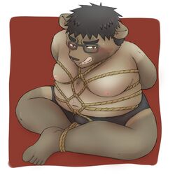 2021 anthro belly blush bound canid canine clothing eyewear glasses jackboot_ihi male male_focus male_only mammal navel nipples overweight raccoon_dog rope solo solo_male tanuki underwear