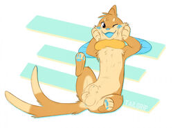 anthro buizel conditional_dnp feral male nintendo pokémon_(species) pokemon solo tailgrip video_games