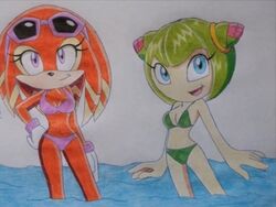 2girls artist_request beach bikini cosmo_the_seedrian echidna edit edited hand_drawn pencil_(artwork) seedrian sega shade_the_echidna sonic_(series) sonic_chronicles:_the_dark_brotherhood sonic_the_hedgehog_(series) sonic_x source_request