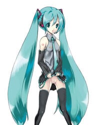 crypton_future_media hatsune_miku long_hair no_panties pussy skirt skirt_lift solo thighhighs tied_hair twintails very_long_hair vocaloid