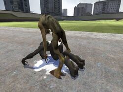 3d crossover cum female garry's_mod gm_construct half-life half-life_(series) half-life_2 halo_(game) halo_(series) humanoid humanoid_male male sangheili sex shadowgod360 straight vortigaunt