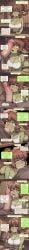 Big Breasts Rule 34 Image