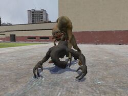 3d crossover female garry's_mod gm_construct half-life half-life_(series) half-life_2 halo_(game) halo_(series) humanoid humanoid_male male sangheili sex shadowgod360 straight vortigaunt