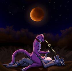 2boys anthro canine collar duo feline fur furry heliphass highres implied_penetration looking_at_another love male male_only mammal moon nature night purple_fur ray-bleiz sex smile wolf yaoi