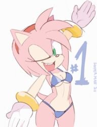 amy_rose bikini pink_fur pink_hair sonic_(series) sooperman