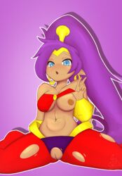 shantae (character) from shantae by sinrizuki