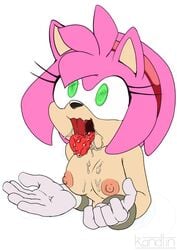 amy_rose furry_only hedgehog kandlin pink_fur pink_hair sonic_(series) tongue_out