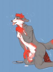 ahe_gao anthro bodily_fluids canid canine canis clemthehusky cum cum_inside dildo dildo_sitting domestic_dog genital_fluids genitals hi_res husky lemonpiedude looking_pleasured male mammal nordic_sled_dog penetration penis sex_toy solo spitz