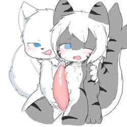 blue_eyes blush changed_(video_game) changed_fan_artist cum drooling furry gay lin_(changed) nipples penis shark shark_(changed) tiger_shark_(changed) white_hair