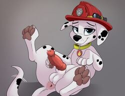 absurd_res animal_genitalia animal_penis canid canine canine_penis canis cute_expression dalmatian domestic_dog feral fur genitals hi_res male male_only mammal marshall_(paw_patrol) paw_patrol penis smitty_g solo white_body white_fur