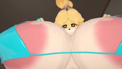 2021 animal_crossing animated anthro big_breasts bikini bikini_bottom bikini_top blue_bikini breasts canine dog_ears door fingerless_gloves fur furry gloves hair_ornament hairband huge_breasts hyper hyper_ass hyper_breasts hypercowvr isabelle_(animal_crossing) large_ass massive_ass massive_breasts massive_butt nintendo nipples no_sound oversized_breasts smothering tagme thick_ass thick_thighs video vrchat vrchat_avatar vrchat_media