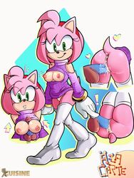 amy_rose cuisine furry pink pink_hair sonic_(series) sweater