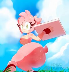 amy_rose furry higgyy pink pink_hair ponytail solo sonic_(series)