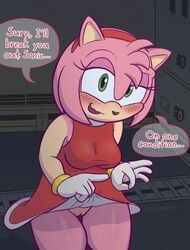 amy_rose anthro blush bottomless breasts clothed clothing clothing_lift dialogue dress dress_lift english_text eulipotyphlan female genitals hedgehog hi_res loshon mammal no_underwear pussy sega solo sonic_(series) sonic_the_hedgehog_(series) text thick_thighs