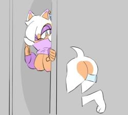 Sonic (Series) Rule 34 Video