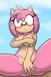Sonic (Series) Rule 34 Image