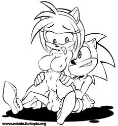 amy_rose anthro female fur furry furry_only hedgehog linno male mammal monochrome sega sex simple_background sitting sonic_(series) sonic_the_hedgehog straight uncensored vaginal_penetration white_background zebala