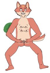 absurd_res alpha_channel anthro areola brown_body brown_fur canid canine clitoris feet female fox fur furrin_gok genitals hi_res humanoid_feet humanoid_hands konohana_kitan mammal multicolored_body multicolored_fur nipples pink_areola pink_clitoris pink_nipples pink_pussy pussy solo spread_pussy spreading tan_body tan_fur tsubaki_(konohana_kitan) two_tone_body two_tone_fur