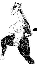 absurd_res anthro big_breasts biped black_and_white breasts eyelashes female finger_fuck fingering fingering_self genitals giraffe giraffid hi_res huge_breasts mammal masturbation monochrome nipples pussy realius simple_background slightly_chubby solo standing thick_thighs traditional_media_(artwork) vaginal_masturbation vaginal_penetration