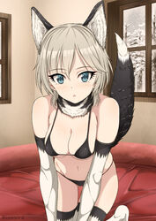 all_fours anastasia_(idolmaster) animal_ears artist_name bare_shoulders bed bikini black_bikini black_swimsuit blue_eyes blush breasts cleavage detached_collar dog_girl dog_tail elbow_gloves eyelashes female female fur_collar gloves high_resolution hip_focus hips idolmaster idolmaster_cinderella_girls indoors inoshira inumimi kneeling medium_breasts navel on_bed raised_tail shirt short_hair silver_hair solo swimsuit tail thighhighs thighs white_hair white_legwear white_shirt winter