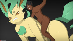 bronco bucking duo eeveelution female feral hi_res human jordanbros1 leafeon male mammal mount/rider_relations nintendo pokemon pokemon_(species) riding riding_on_back rodeo rodeoplay video_games winick-lim