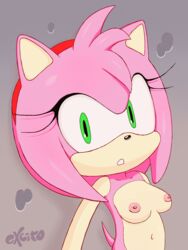 amy_rose excito female furry nipples pink_hair png solo sonic_(series)