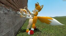 1boy 1girls 3d against_wall big_ass big_balls big_breasts big_penis cream_the_rabbit fucking garry's_mod lifting_leg making_love nude penetration sex sonic_(series) sonic_the_hedgehog_(series) straight tails_the_fox