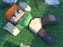 3d alex_(minecraft) beveledblock big_breasts blender_(software) brown_trousers character female female_only green_eyes green_t-shirt looking_up mine-imator minecraft no_panties orange_hair original_character outside solo square_head tagme vagina