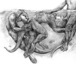 2012 5_fingers 5_toes ambient_fish ambient_sealife anthro blotch claws erection feet fellatio finger_claws fingers fur genitals group hand_on_back male male/male mammal membrane_(anatomy) monochrome mustelid oral otter partially_submerged pawpads paws penile penis scratches_volume_6 sex simple_background tail tail_grab toe_claws toes traditional_media_(artwork) trio underwater_fellatio water waterline_view webbed_feet webbed_hands whiskers white_background