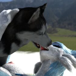 3d blender canine chillet kissing