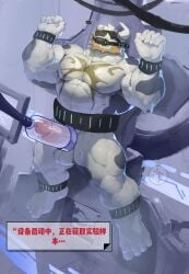 abs anthro balls beard biceps black_spots blindfold blonde_beard blonde_facial_hair bondage bound bovid bovine cattle chinese_text cuff_(restraint) dialogue erection facial_hair foreskin fu_touer genitals hi_res humanoid_genitalia humanoid_penis laboratory machine_bondage male mammal muscular muscular_male navel nude pecs penis penis_milking_machine quads raised_hand raised_head restraints retracted_foreskin signature solo spots text white_body