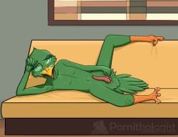 alien animal_genitalia anthro avian avian_penis beak bird_feet cloaca gabers_migleemo green_body green_feathers hal_aetus klowahkan_(species) laying looking_at_viewer male male_only naked nude on_sofa solo spread_legs star_trek star_trek_lower_decks tail_feathers tongue_out