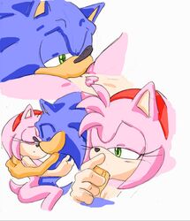 amy_rose cunnilingus fellatio mutual_oral pink_fur pink_hair randomguy999 sonic_(series) sonic_the_hedgehog