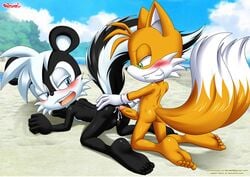 2boys anal anal_sex anthro anus ass balls bbmbbf blush cum cum_in_ass cum_inside doggy_style fox gay geoffrey_st_john male male/male male_only mobius_unleashed open_mouth palcomix penis sega sex skunk sonic_(series) sonic_the_hedgehog_(series) tails teeth tongue yaoi