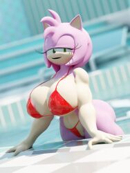 amy rose from sega by onehundredandone