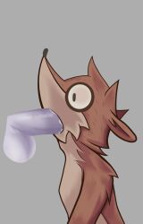 rigby (regular show) from cartoon network