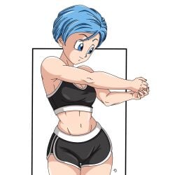 bulma briefs from dragon ball