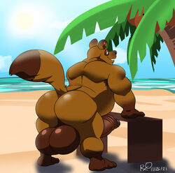 2021 animal_crossing anthro ass balls bara big_balls big_penis boner erection gay male male_only muscles muscular nintendo nude penis rxq solo solo_male source_request tom_nook