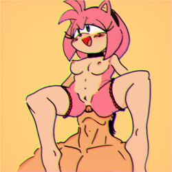 amy_rose anon human_on_anthro male_human/female_anthro randomguy999 sonic_(series)