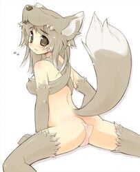 animal_ear arm_support ass blush bottomless cameltoe cat_o'_nine_tails detached_sleeves fur furry grey_hair hat huge_eyes maebari moonlight_flower paws ragnarok_online short_hair spread_legs tail thighhighs