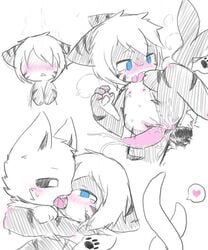 black_penis blue_eyes blush changed_(video_game) changed_fan_artist chano cum drool french_kissing furry gay holding_partner kissing male_only nipples penis shark shark_(changed) squid_dog_(changed) tentacle tiger_shark_(changed) tongue_wrap white_eyes white_fur