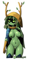 adventure_time antlers big_breasts breasts curvaceous curvy curvy_body curvy_female exposed_breasts exposed_pussy female fit fit_female gloves green_hair green_nipples green_skin hood huntress huntress_wizard large_breasts leaf_hair lean_body lean_figure leaves minus8 tagme thick_thighs tomboy twitter_logo twitter_username wide_hips wizard