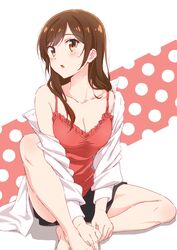mizuhara chizuru from kanojo okarishimasu by nakamura kou