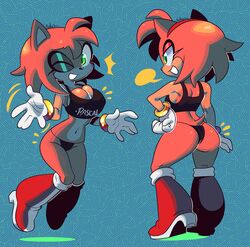 amy rose from sonic (series) by asterixx