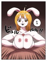 carrot (one piece) from one piece by orange2222